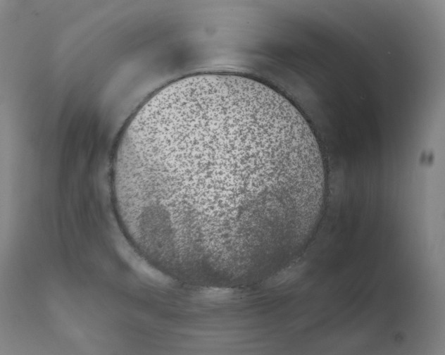 X0000111661470200908071421