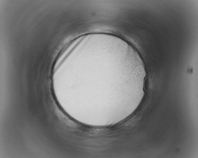 X0000111661471200908071421