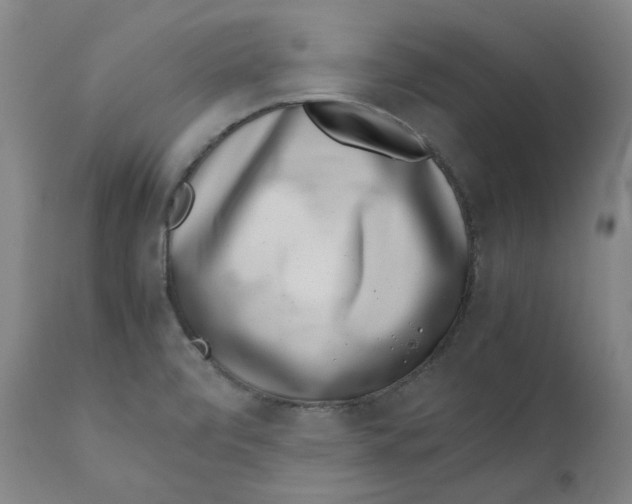 X0000111661472200908071421