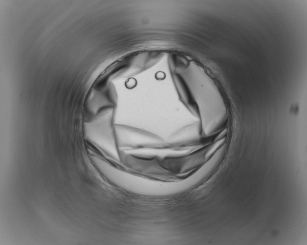 X0000111661473200908071421