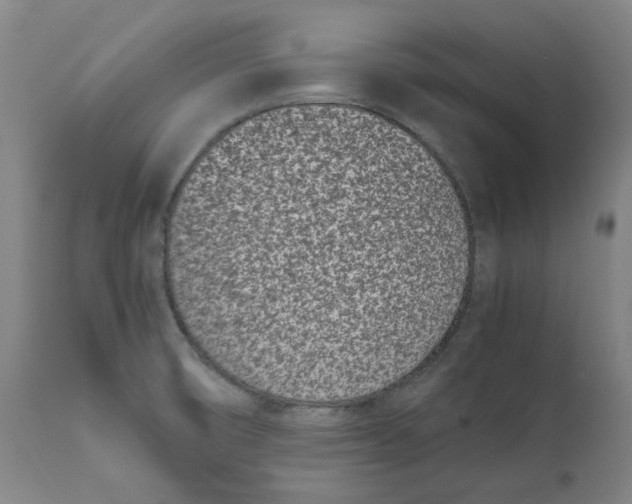 X0000111661474200908071421