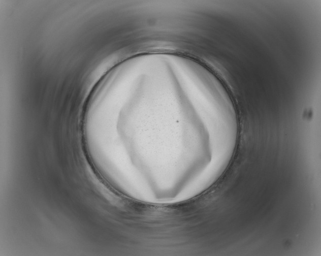 X0000111661475200908071421