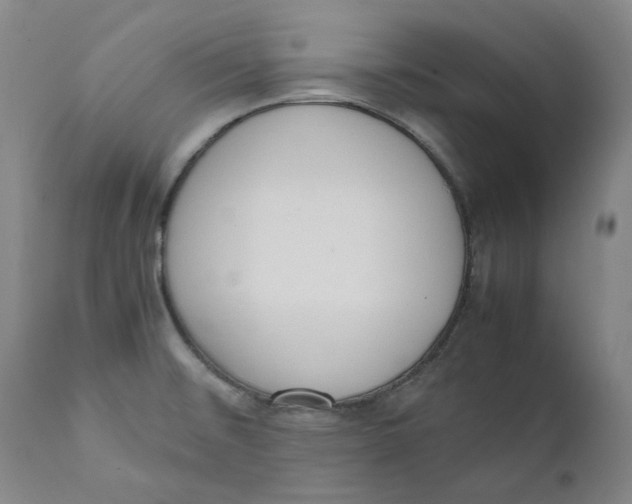 X0000111661476200908071421