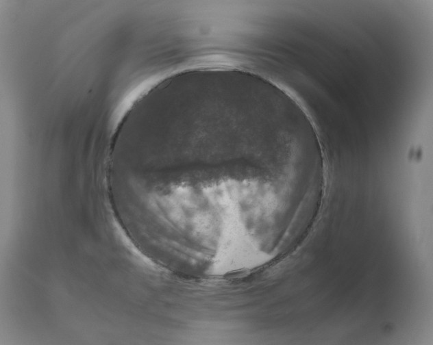 X0000111661477200908071421