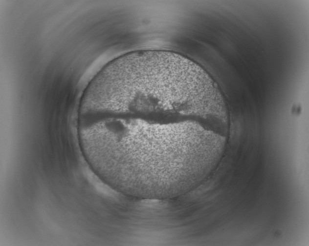 X0000111661478200908071421