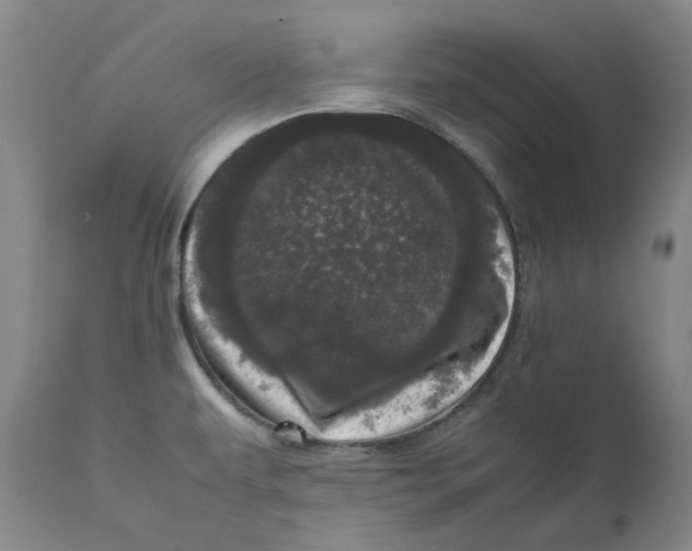 X0000111661479200908071421