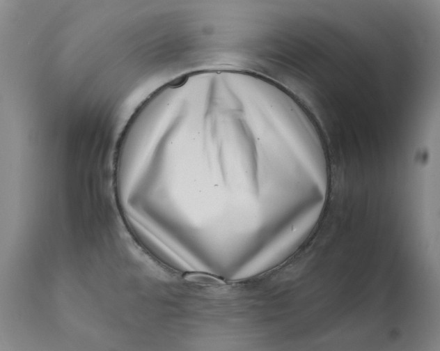 X0000111661480200908071421