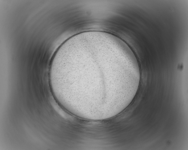 X0000111661482200908071421