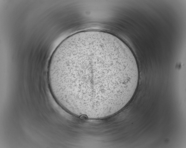 X0000111661483200908071421