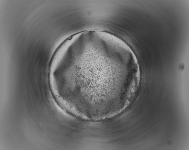 X0000111661484200908071421