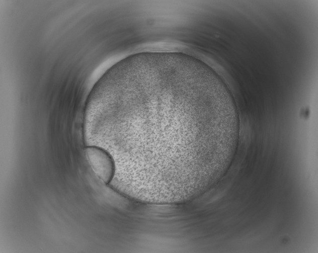 X0000111661486200908071421