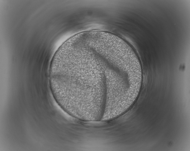 X0000111661487200908071421