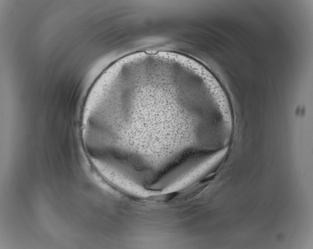 X0000111661488200908071421