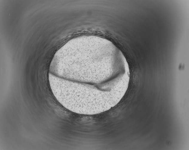 X0000111661489200908071420