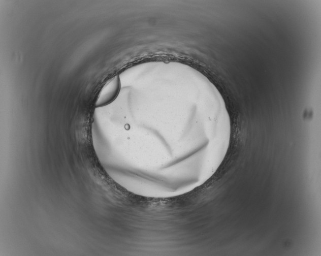 X0000111661490200908071420