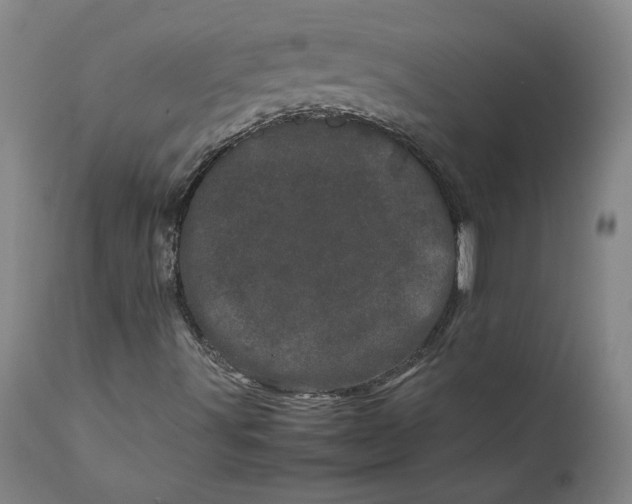 X0000111661491200908071420