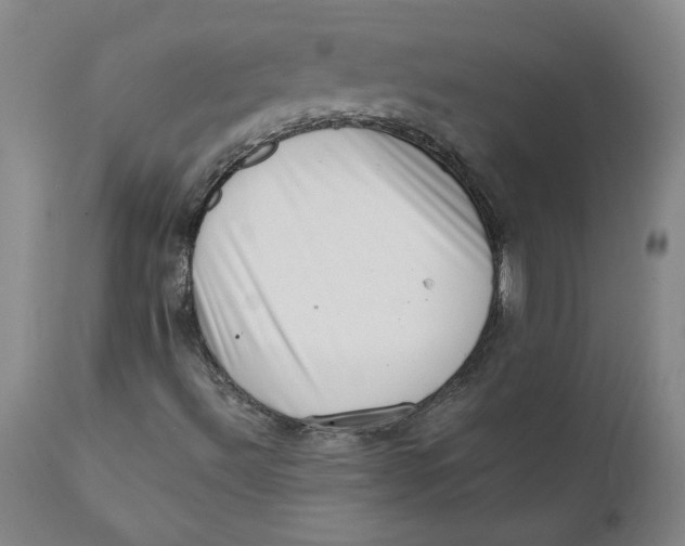 X0000111661492200908071420