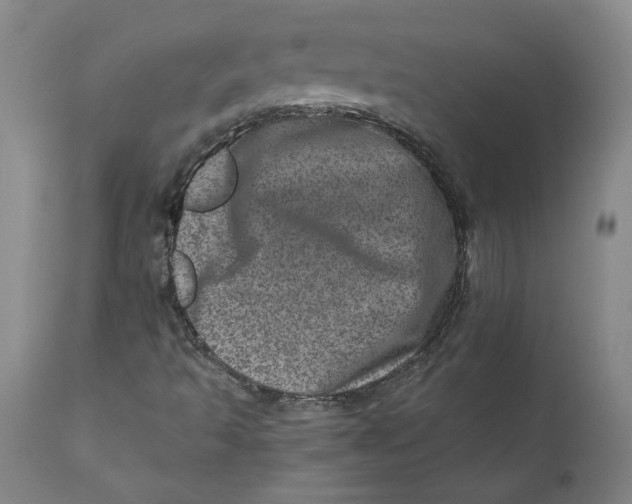 X0000111661493200908071420