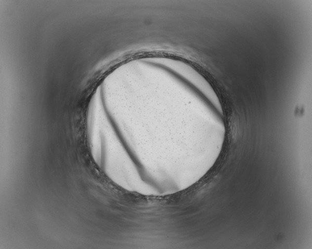 X0000111661494200908071420