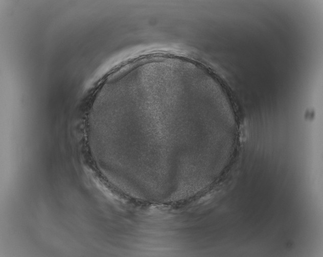 X0000111661496200908071420