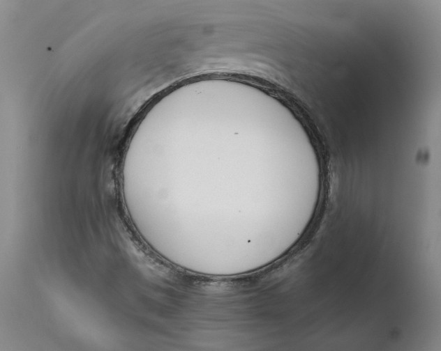 X0000111661497200908071420