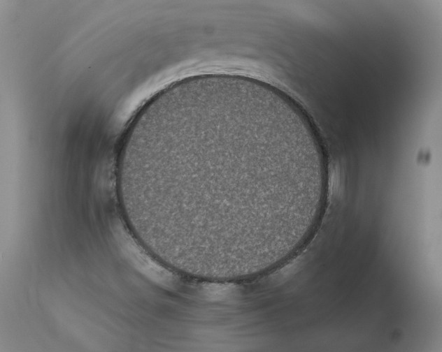 X0000111661498200908071420