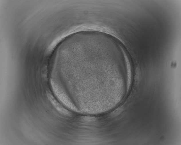 X0000111661499200908071420