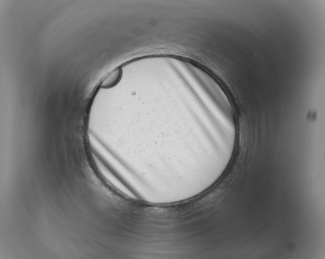 X0000111661500200908071420