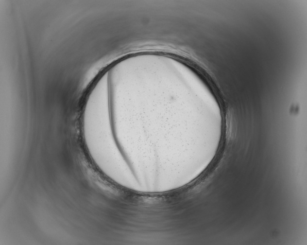 X0000111661501200908071420