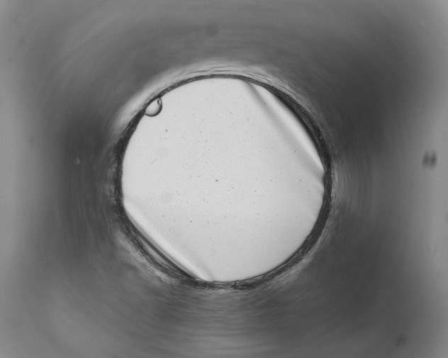 X0000111661502200908071420