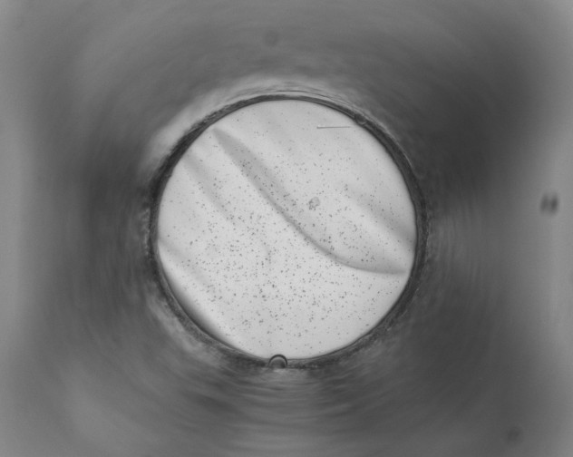 X0000111661503200908071420