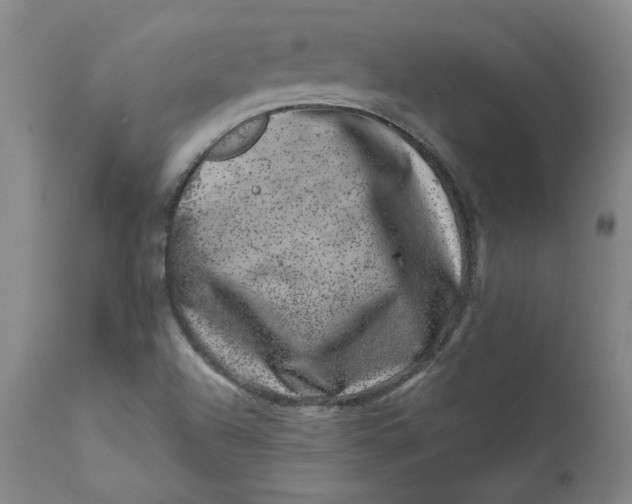 X0000111661504200908071420