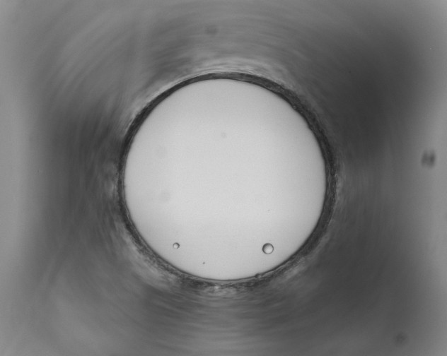 X0000111661505200908071420