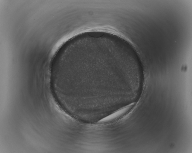 X0000111661506200908071420