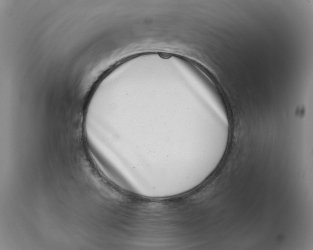 X0000111661507200908071420