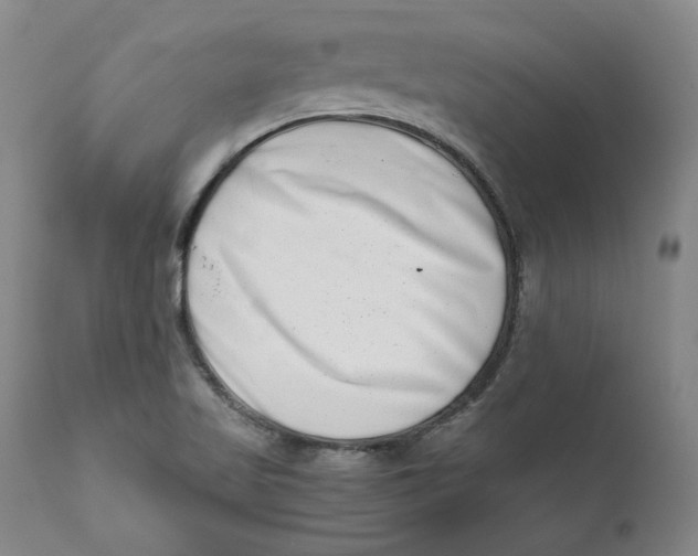 X0000111661509200908071421