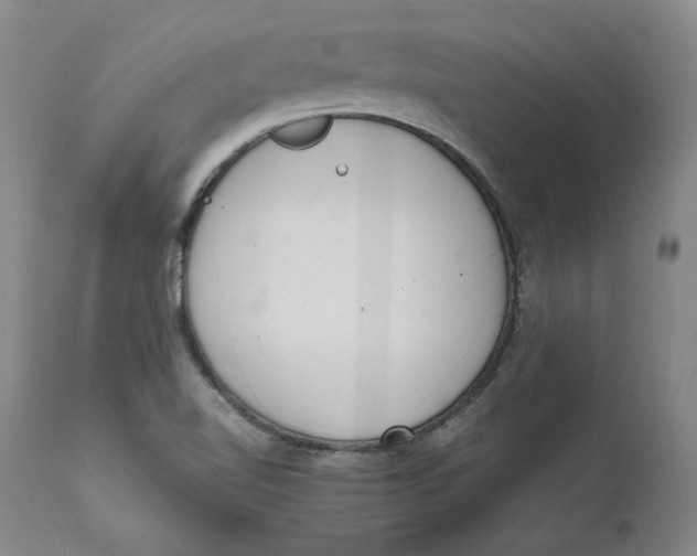 X0000111661510200908071421