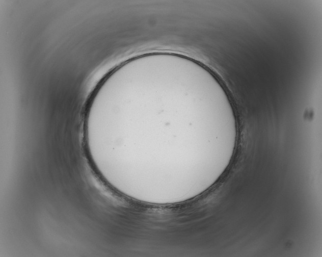 X0000111661511200908071421