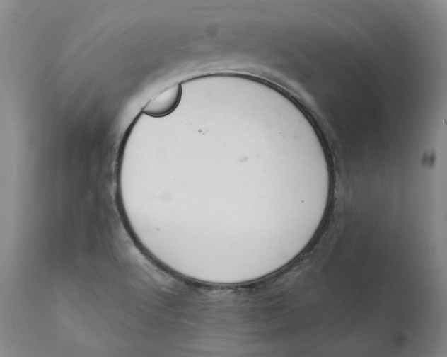 X0000111661512200908071421