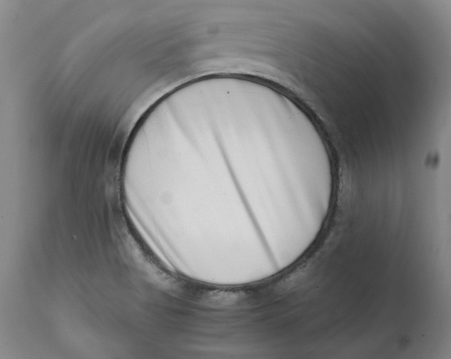 X0000111661513200908071421