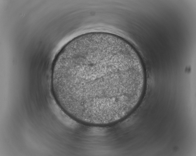 X0000111661514200908071421