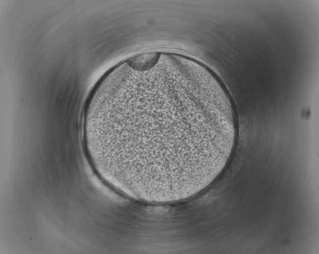 X0000111661515200908071421