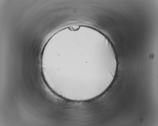 X0000111661516200908071421