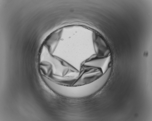 X0000111661518200908071421