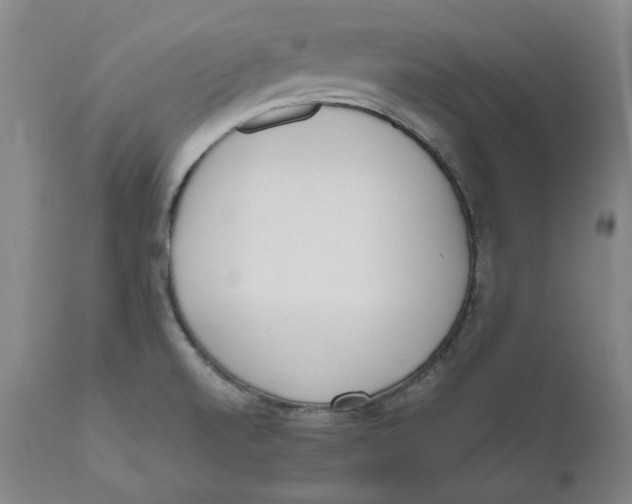 X0000111661520200908071421