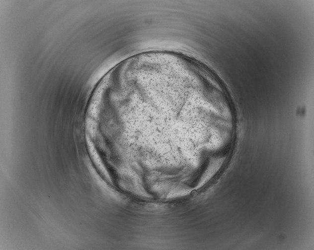 X0000111661521200908071421