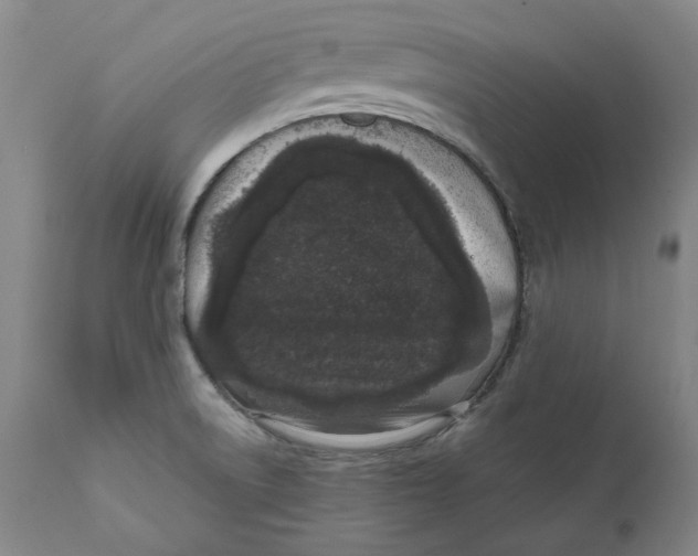 X0000111661522200908071421