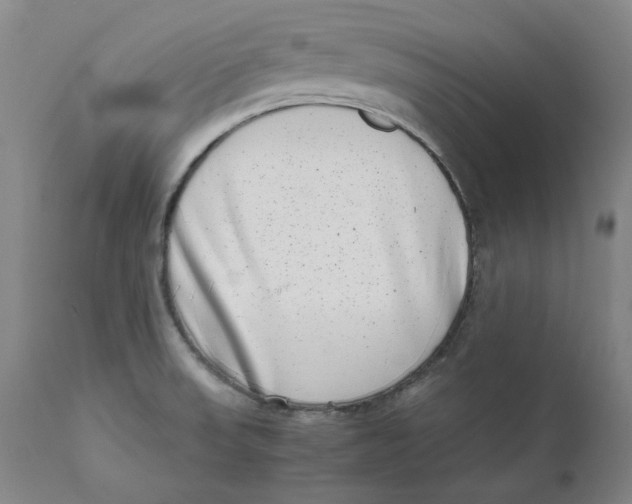 X0000111661523200908071421