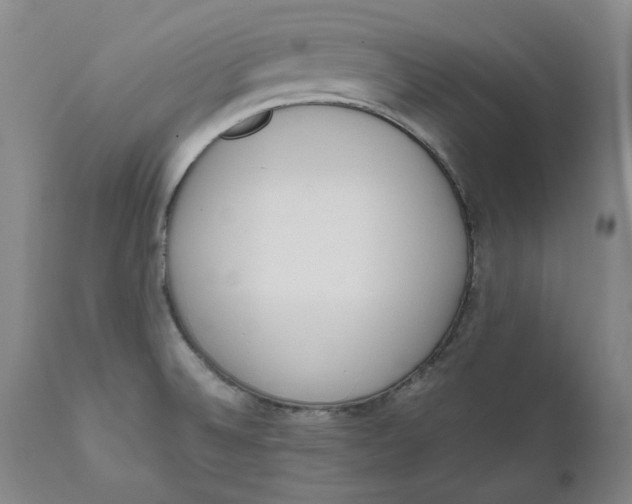 X0000111661524200908071421