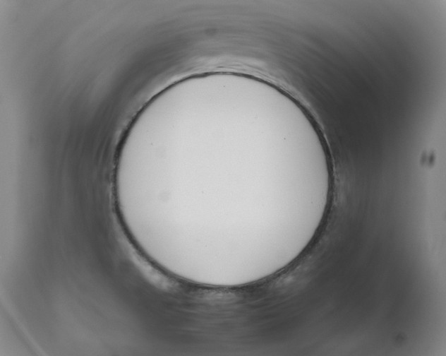 X0000111661525200908071421